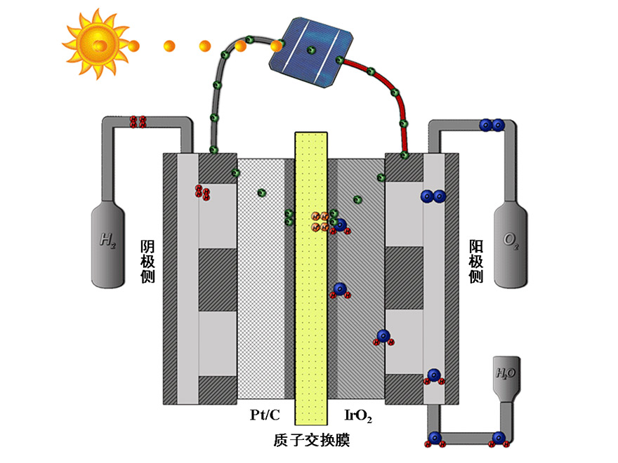 1649397464736213.jpg 4.jpg